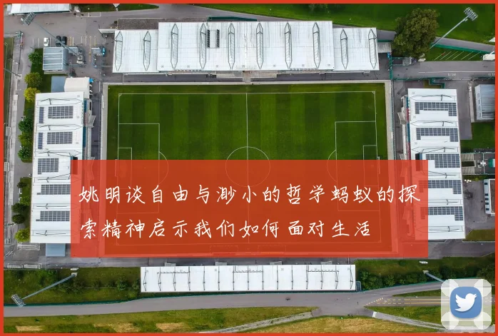 姚明谈自由与渺小的哲学蚂蚁的探索精神启示我们如何面对生活